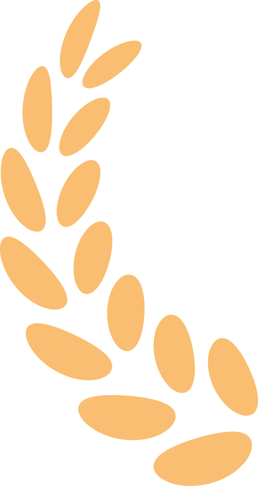 194559c9bg8dg9gr974b04.png