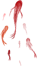 194727x6rdeybdxrrb5ltv.png