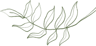 172654b6alqkqulqa67706.png