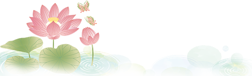 172849t9a2iij9885ebb9r.png