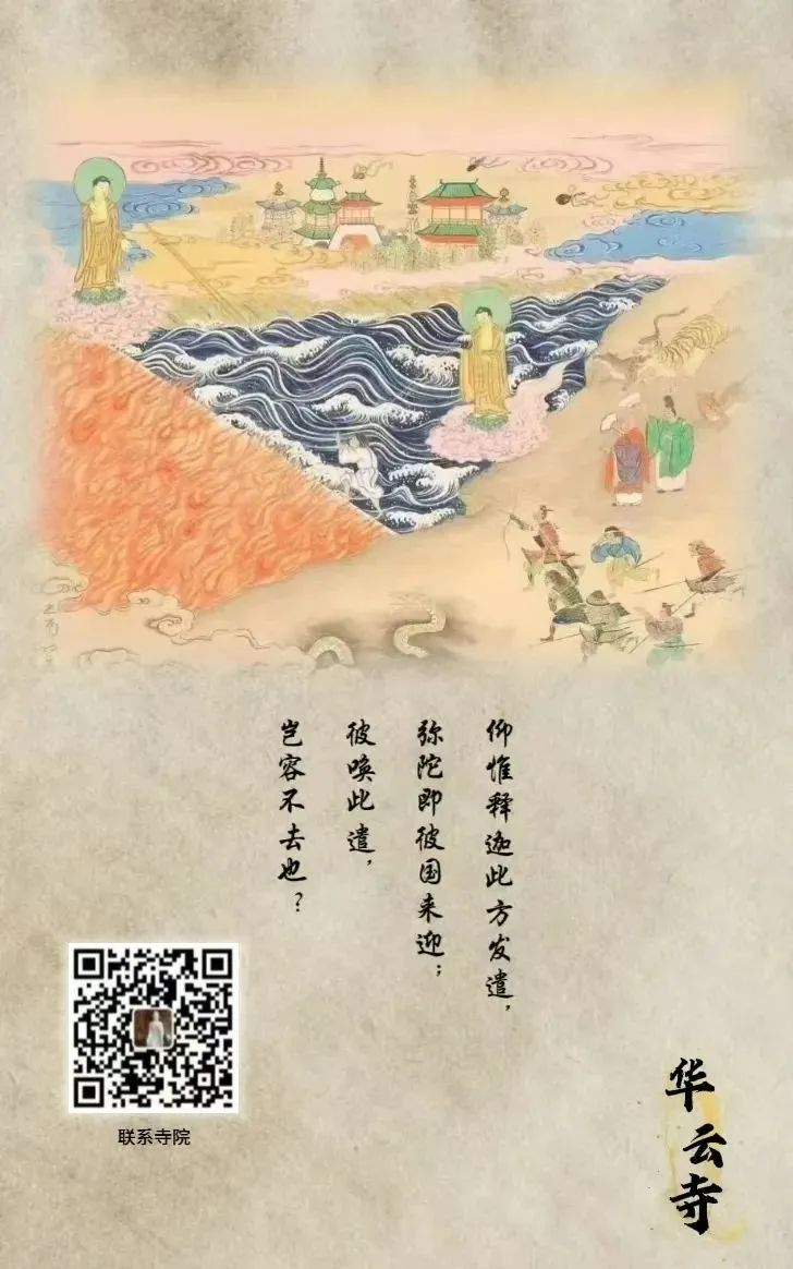 184524ujakwg60hrw76jq8.jpeg