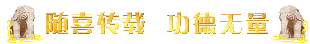 191632dkwz754w76wbkacl.gif