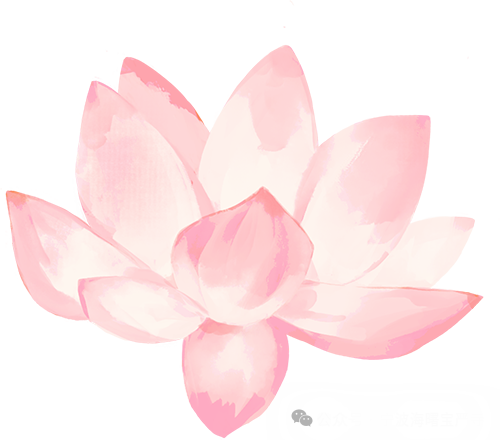 192020l9zv17871ml0hqu7.png