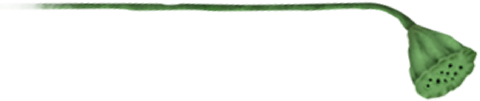 182407ddj1jkz1i5y431cz.png