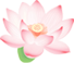 192630zwj96e95kt9jb39s.png