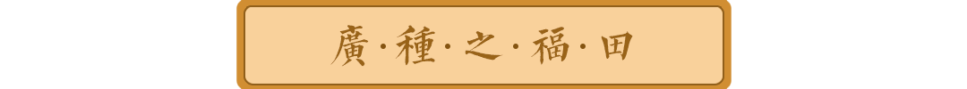 192915nv1vsc3zbx8vtyyq.png