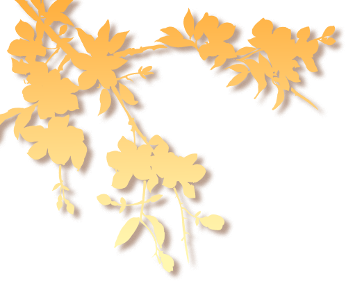 203035x1tlhuwyy50uiv37.png