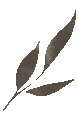 203500fxaxmekwekvfxiva.gif