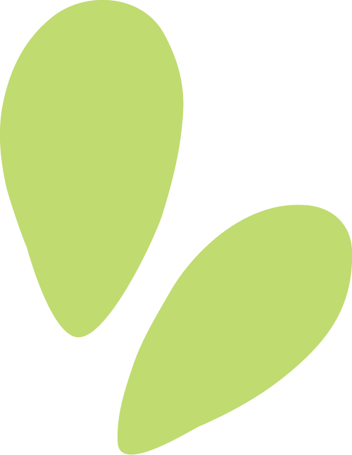 185209g67fu4zncaa7635h.png