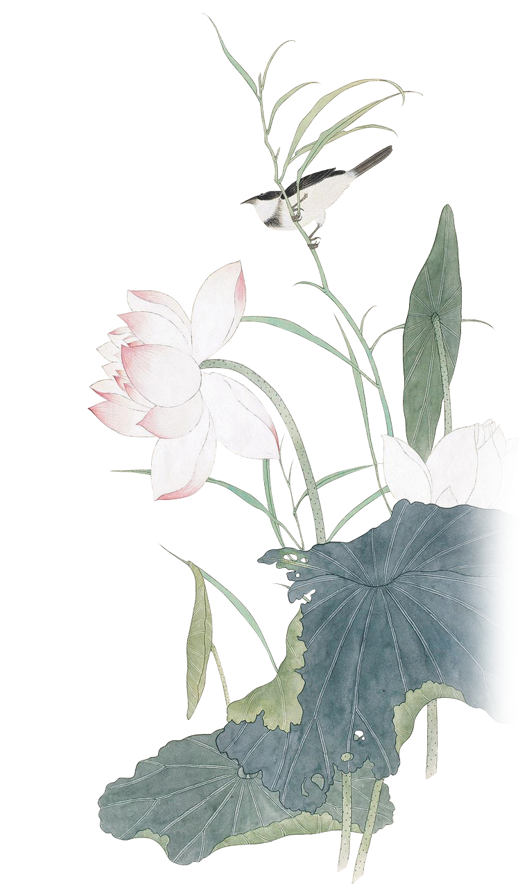 191532sivtyc8z5xcvuxcy.png