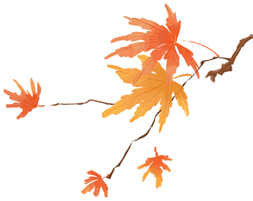 200908ybyyr4ja4mtltydh.png