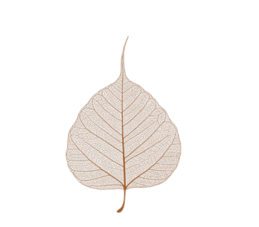 193640tkgsazv029peneek.png
