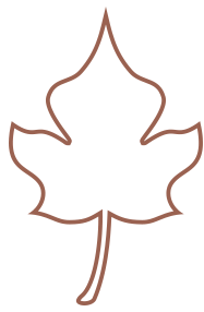 194009p3gwgo025xrw6c05.png