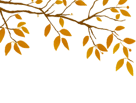 191003qjovfjrbojvxp41k.gif