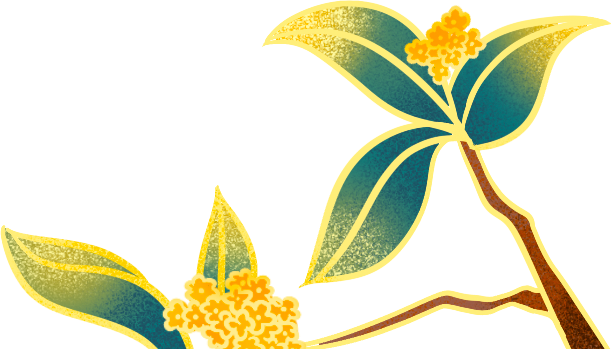192008dpzhco971crzqko2.png