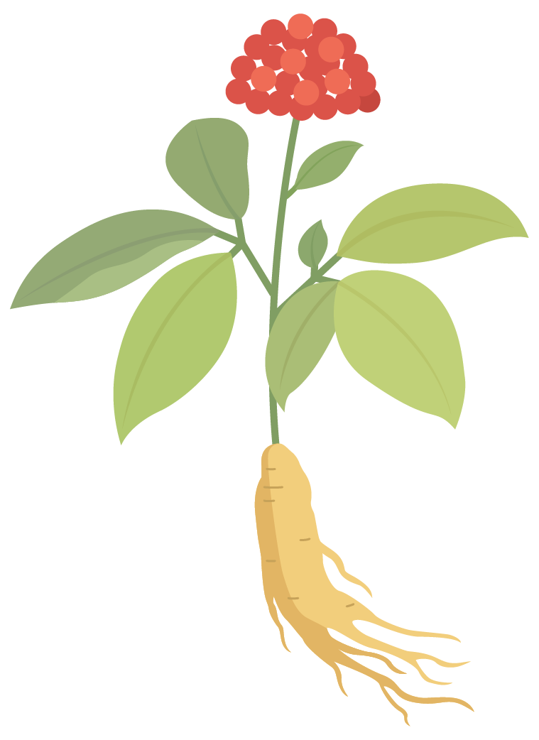 193722ljexetx91e1bx7x0.png