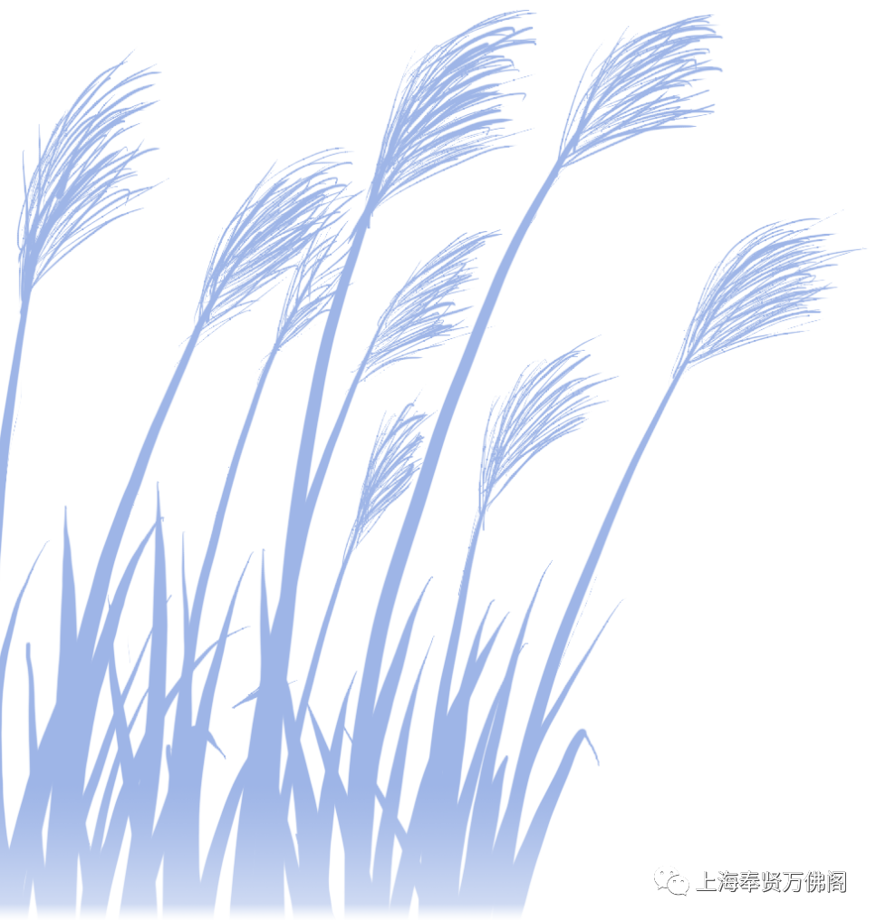 195139bpgje1qqq8j8b58c.png