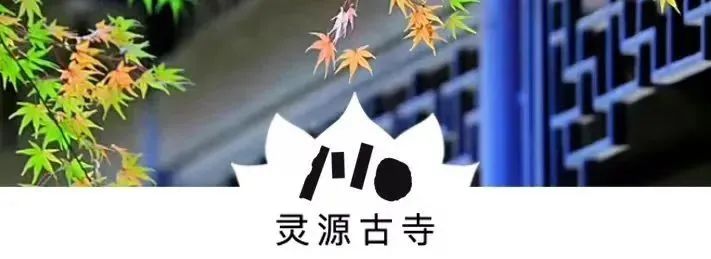 201237vzn1x8fpxzp2x1fn.jpeg