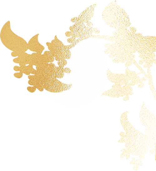 190301s000i8iikicch00m.png