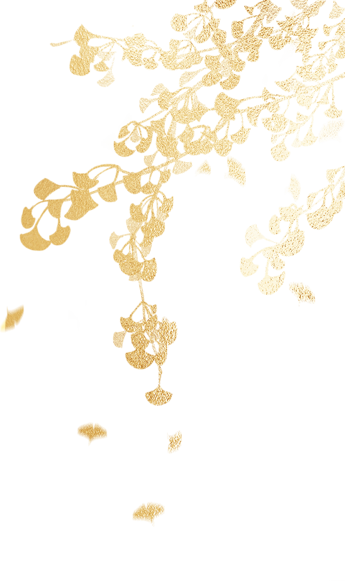 190302qldcykkslqjyc0yl.png