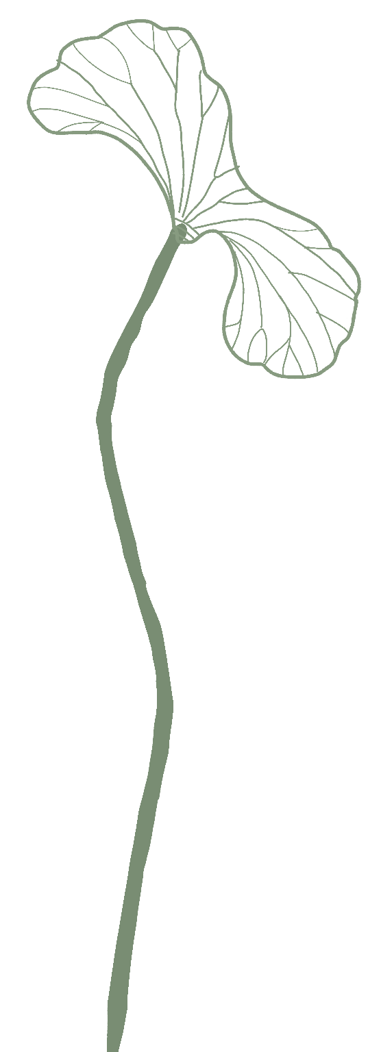 190837phtppz5ctehpd6tj.png