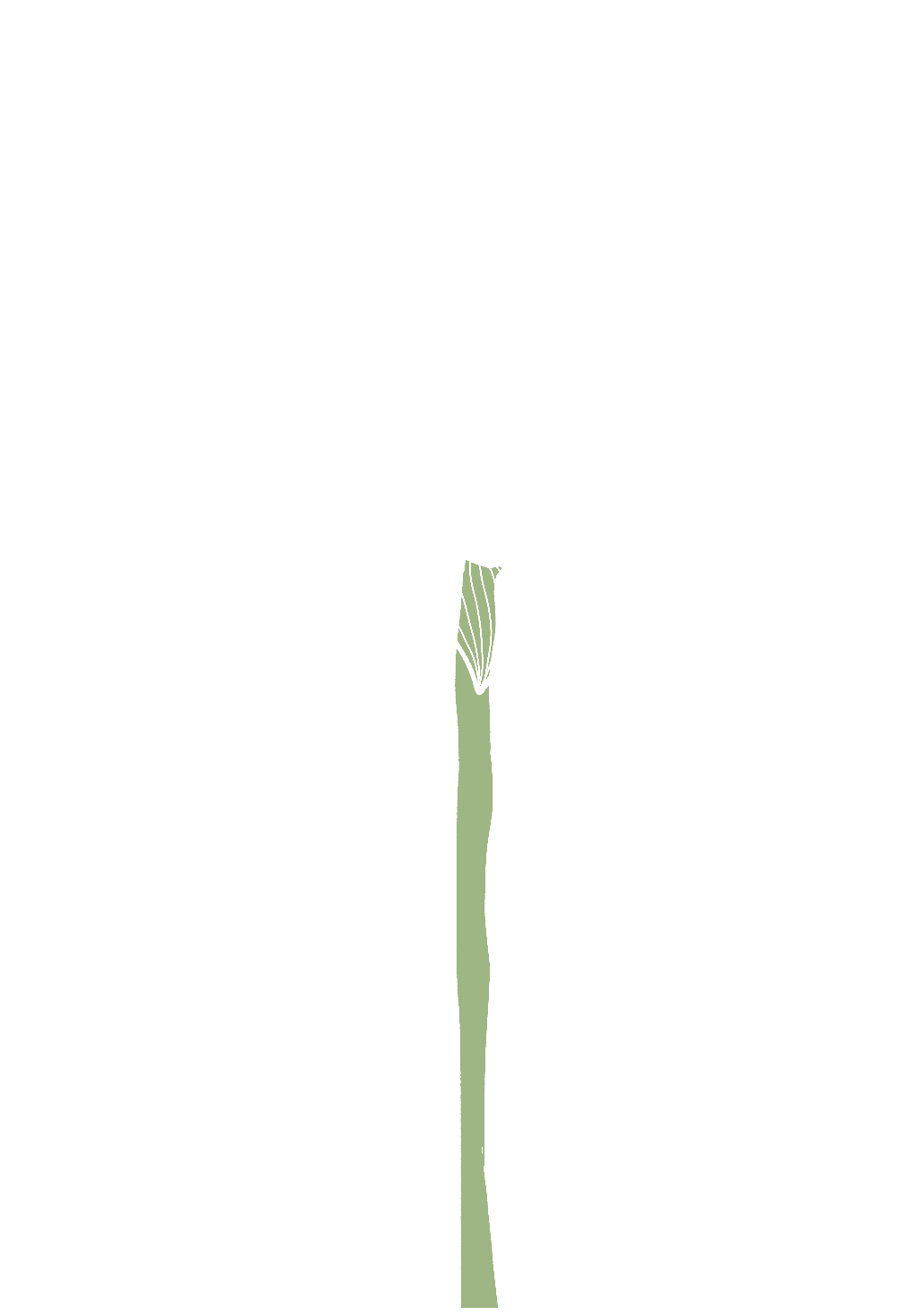 190838mvkvmk357k1hbb64.png