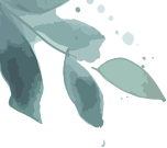 191757qzb5wml8ioasm1jz.png