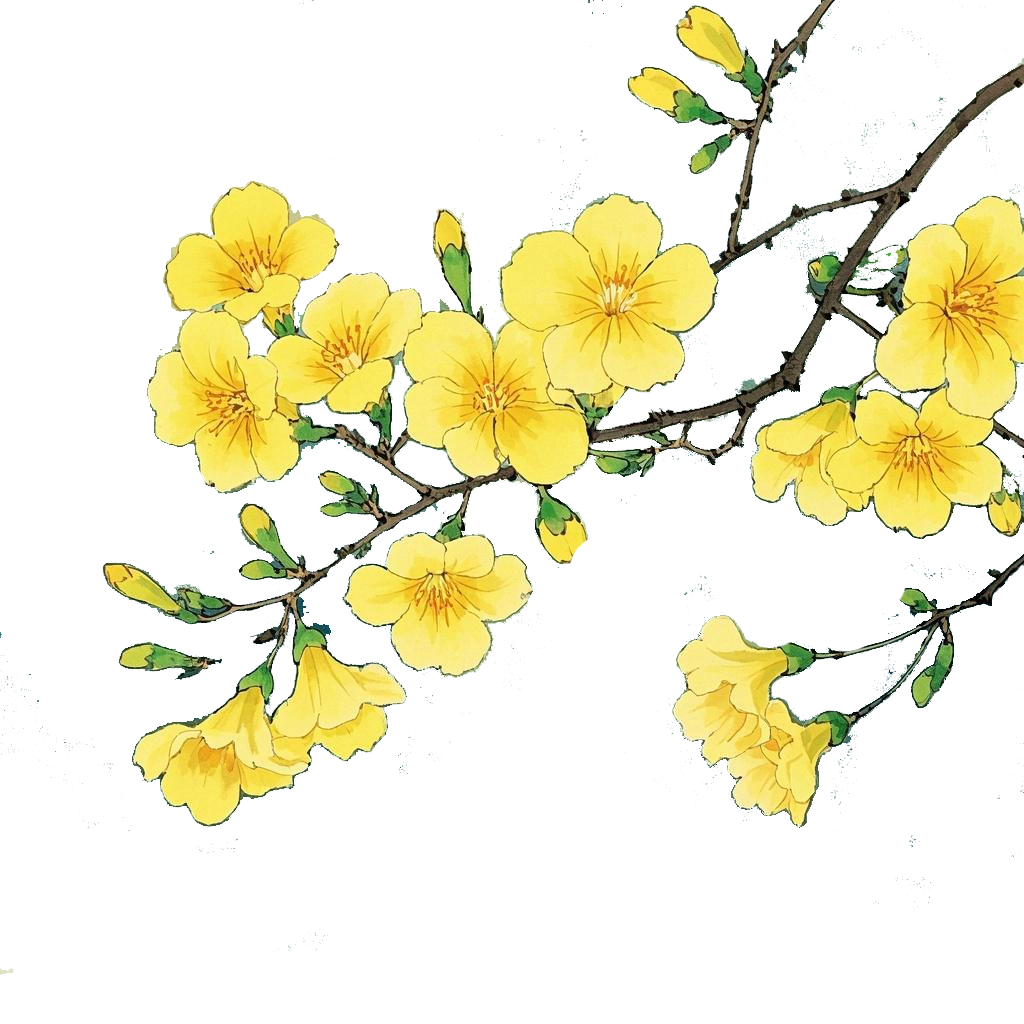 192331s45o1z4a94zdozc4.png
