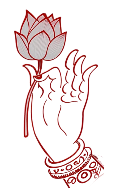 192650qil44c5e64r7lqni.png