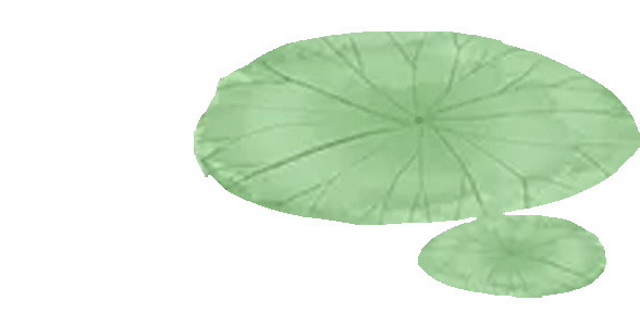 184646mo2e9jschb6zw9z1.gif