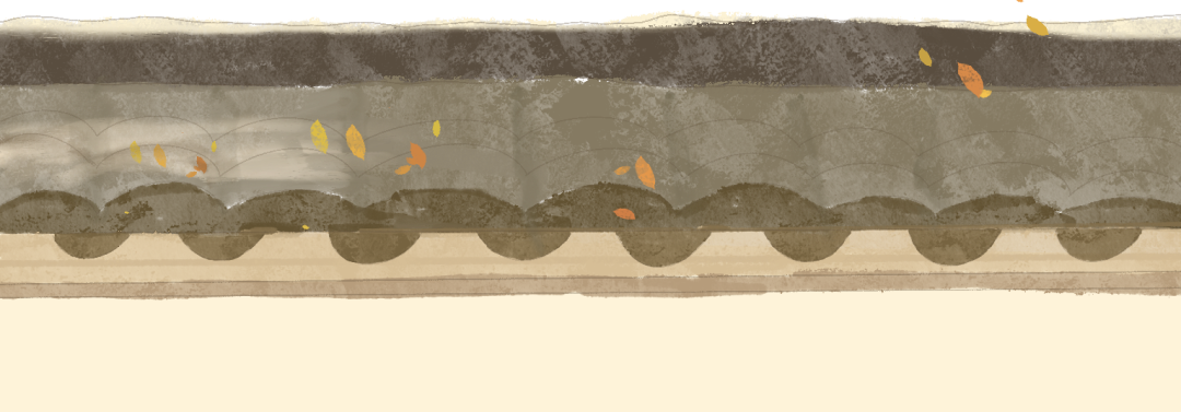 184647k95ztt5vdtpjpavk.png