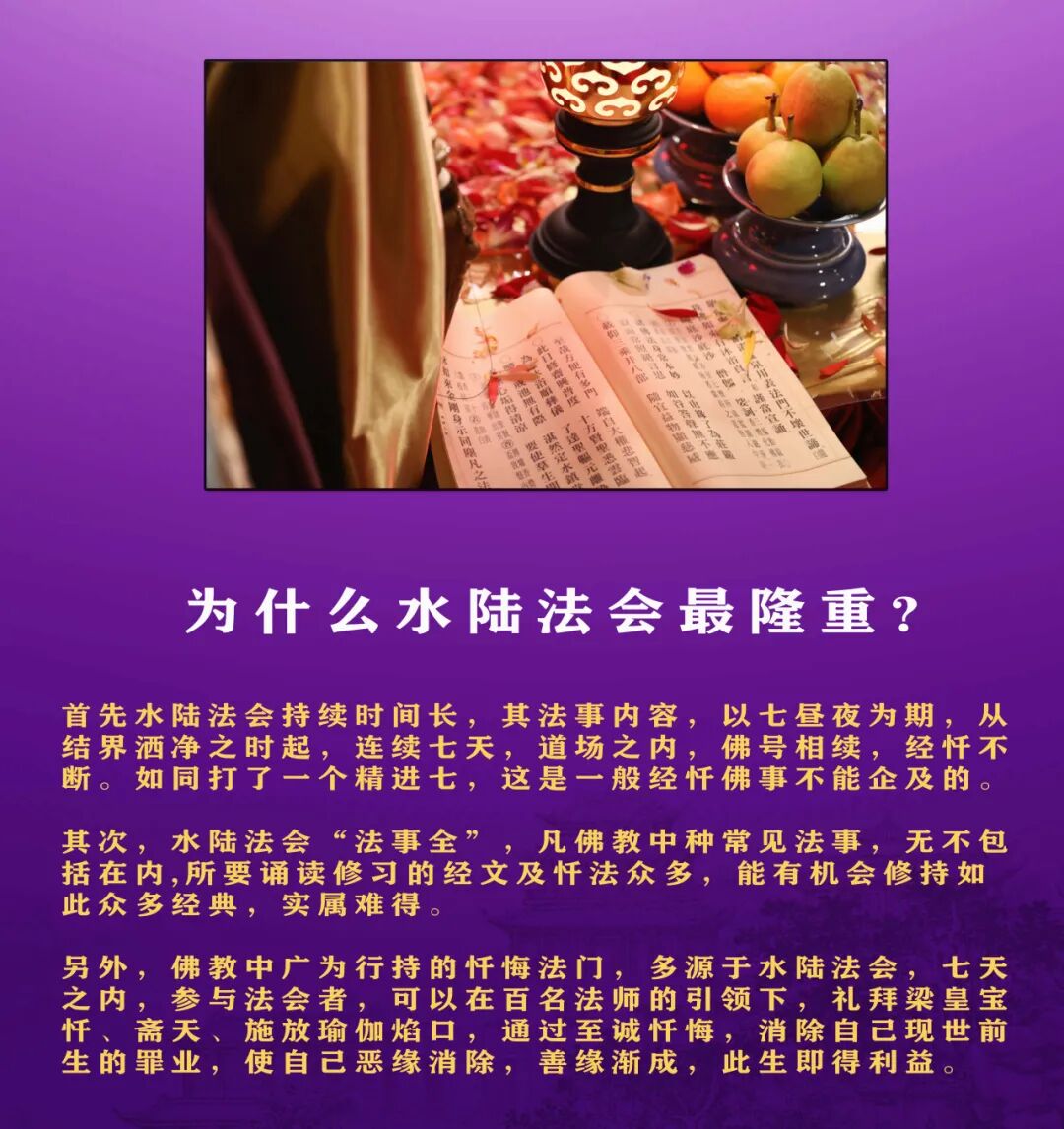 185006p5d65xsdvxmgvoxo.jpeg