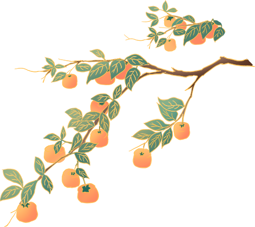 185353yxnzny5n54xwisxx.png