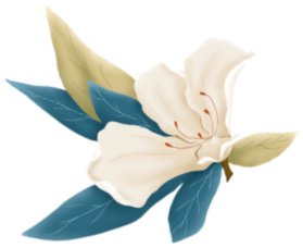 185354fr4bzbbs73b26qbp.png
