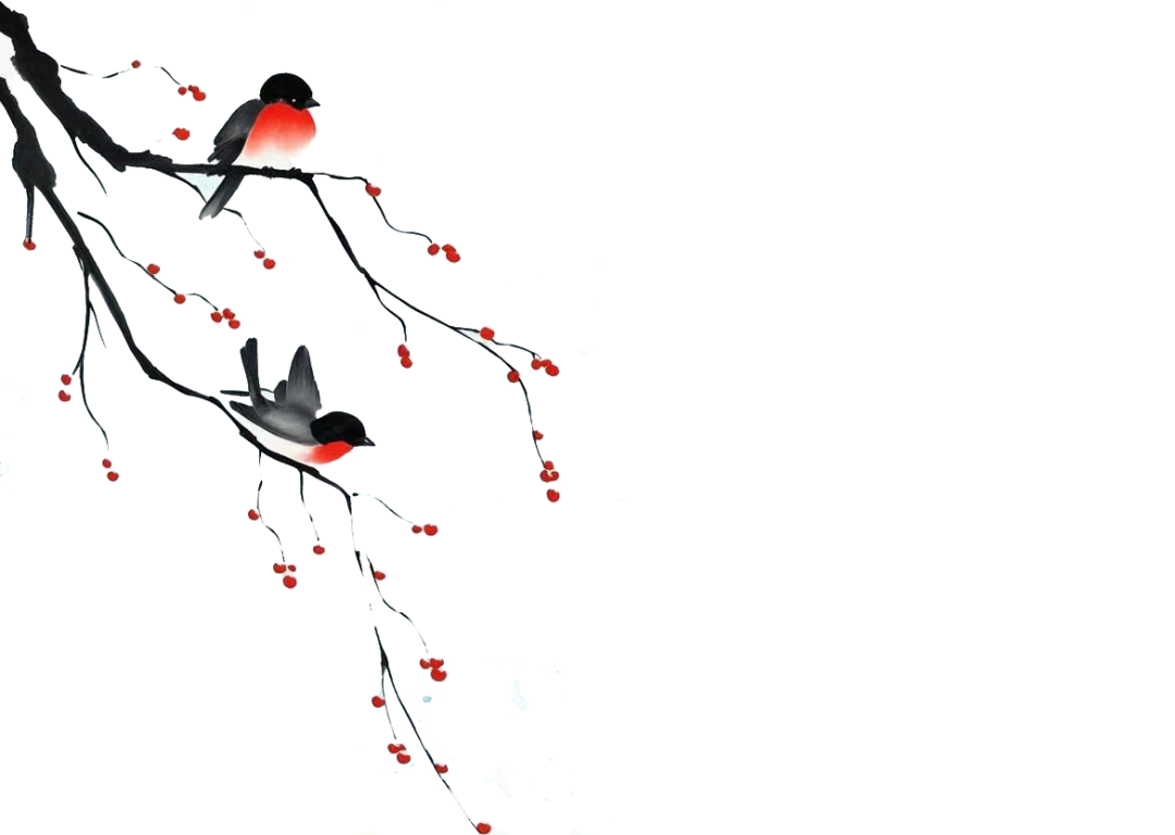 184019vwbdx1591z9xm1mm.png