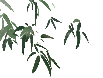 184723c318zkc1hi2irjhz.gif