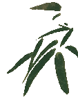 184723n3ullnerecece307.gif
