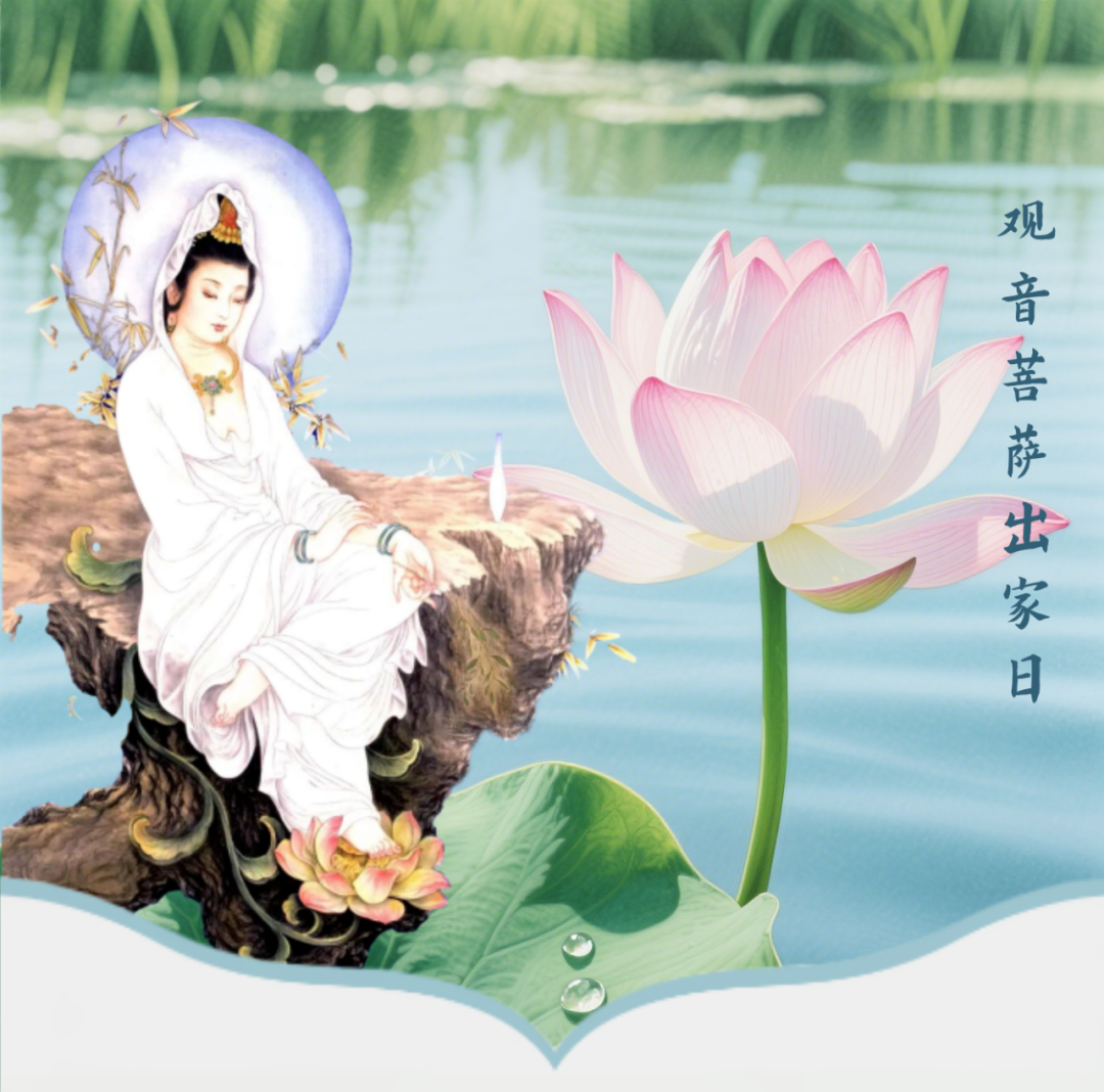 185817yoff5oe0onop8oco.png