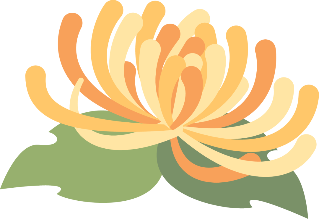 190254sw8xtgux0guxwhjl.png