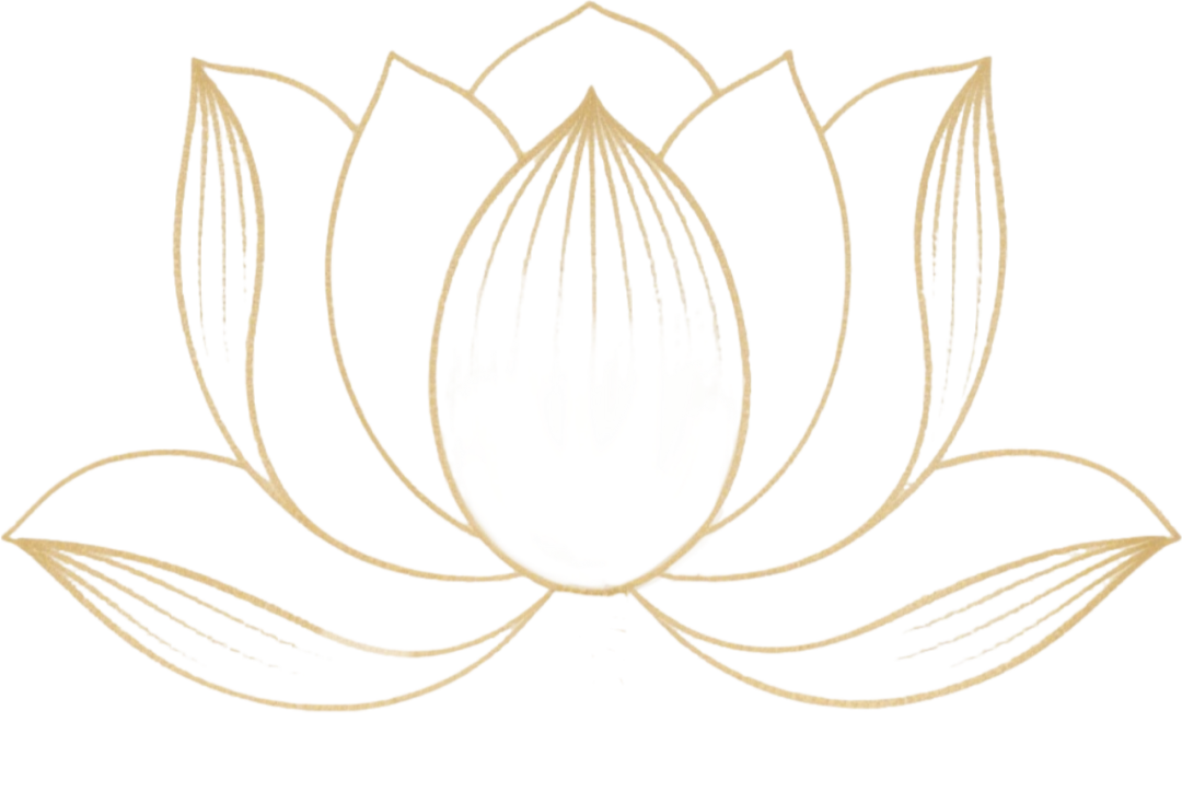 190613xqhho0161606y1oc.png