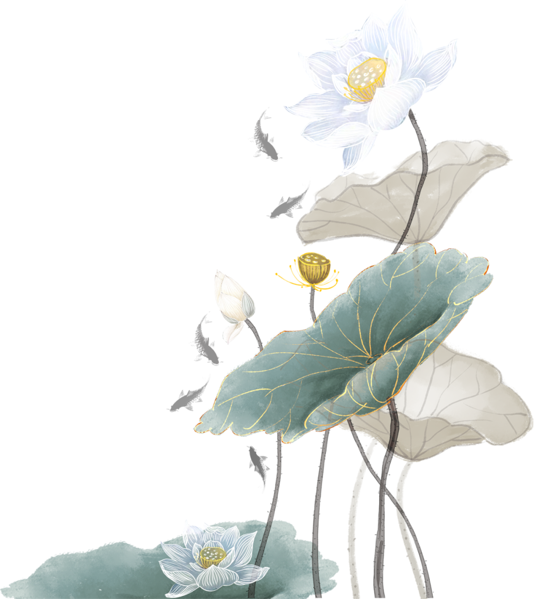 190855ejifw982i2kkz2kk.png