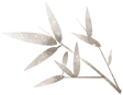 193545r8yxc35yzoz7oq35.png