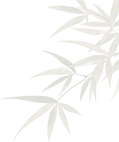 192251mxpvv1x88uu9bscd.png