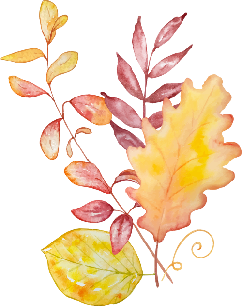 192656qlsost97tot72958.png