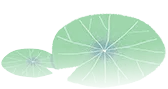 194805cd6a3xdxja249op8.png
