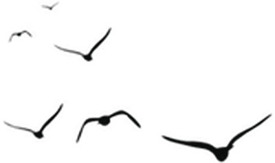 205220dnsny5a5626ys2b2.png