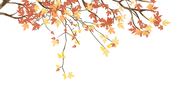 205220ujgjoovoshvwhb6b.gif