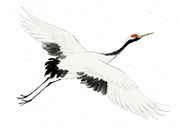 205621n8sa4gp4wqkr4iwp.png