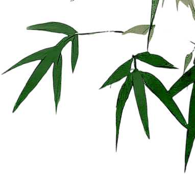 205621usz07zsic3c7vc33.png