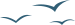 205622rvit4fiau7uauftf.png